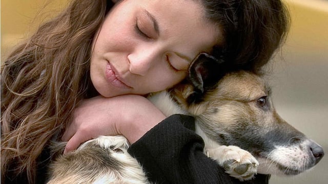 Para elegir mascotas vale tener en cuenta el comportamiento de la raza y la personalidad del dueño. (Foto: AP)