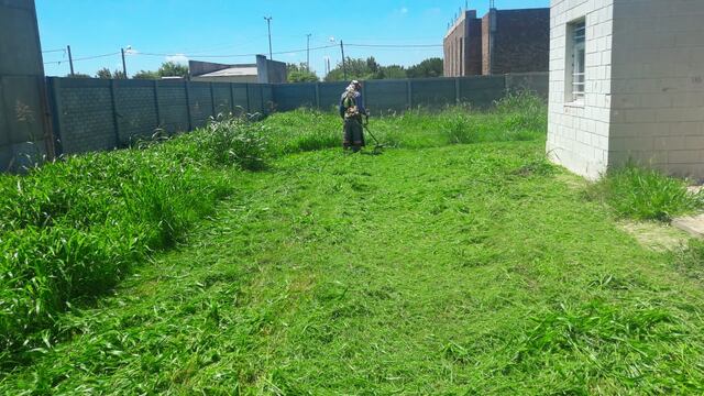 desmalezado y limpieza de lotes baldíos en Rafaela