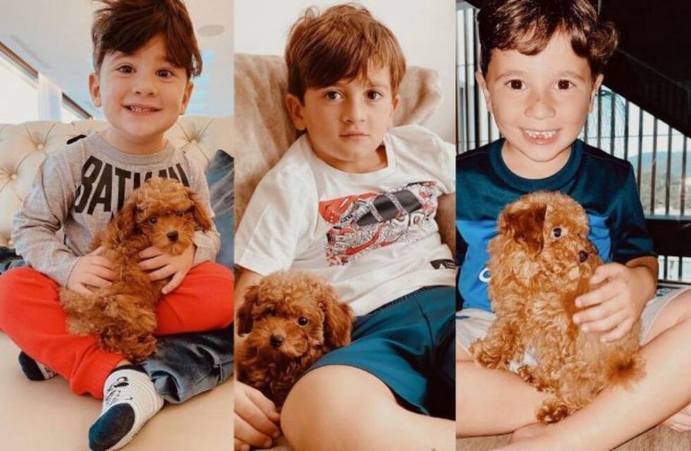 Abú, el perrito de Antonela Roccuzzo y Lionel Messi, ahora tiene acento francés