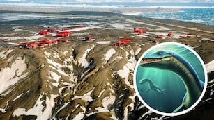 Se encontraron restos fósiles de un nuevo reptil en la Patagonia Argentina.