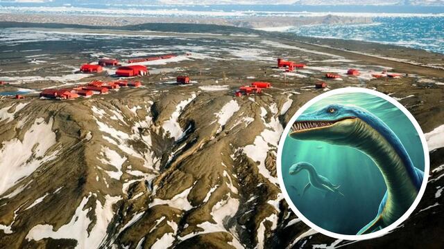 Se encontraron restos fósiles de un nuevo reptil en la Patagonia Argentina.