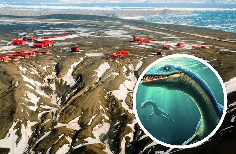 Increíble hallazgo en Patagonia: encontraron restos fósiles de un nuevo dinosaurio