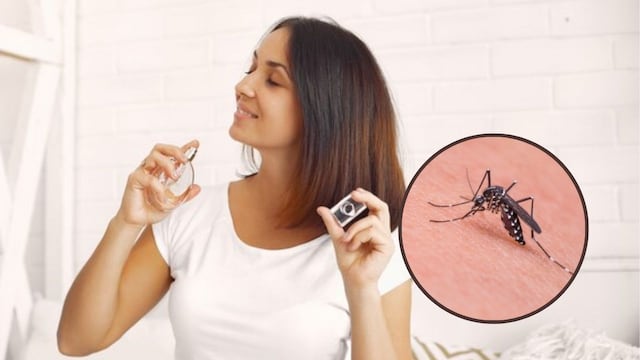 No te lo pongas: este perfume hará que los mosquitos te piquen más