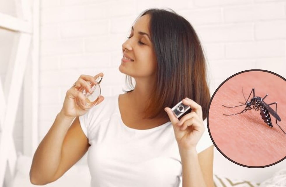 No te lo pongas: este perfume hará que los mosquitos te piquen más