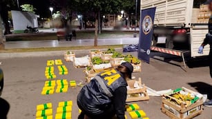 El camión llevaba una aparente carga de bananas y papaya, pero debajo de las frutas los narcotraficantes habían ocultado 85 kilos de cocaína, valuados en 1.700 millones de pesos.