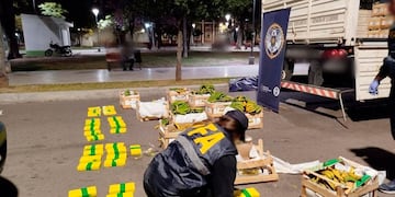 El camión llevaba una aparente carga de bananas y papaya, pero debajo de las frutas los narcotraficantes habían ocultado 85 kilos de cocaína, valuados en 1.700 millones de pesos.