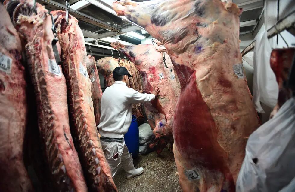 Valor de la carne por debajo de la inflacion