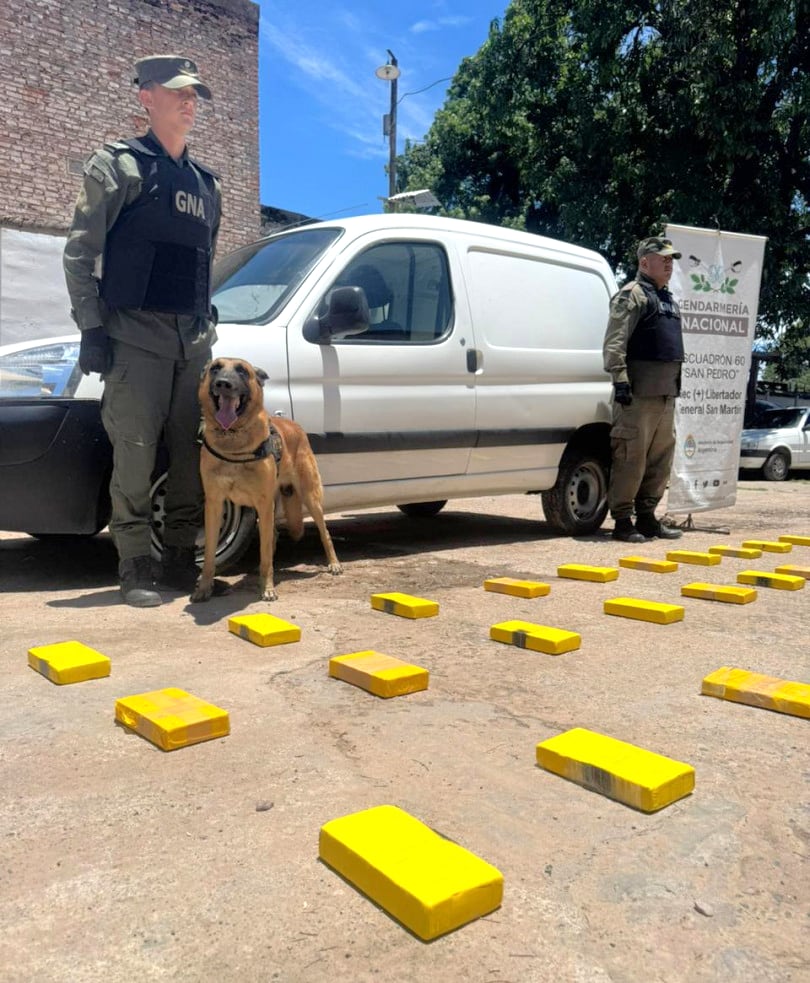 En primer plano el binomio cinotécnico que intervino en el operativo en la RN 34: “Bailey” detectó la presencia de droga y los gendarmes hallaron más de 54 kilos de cocaína en el utilitario blanco.