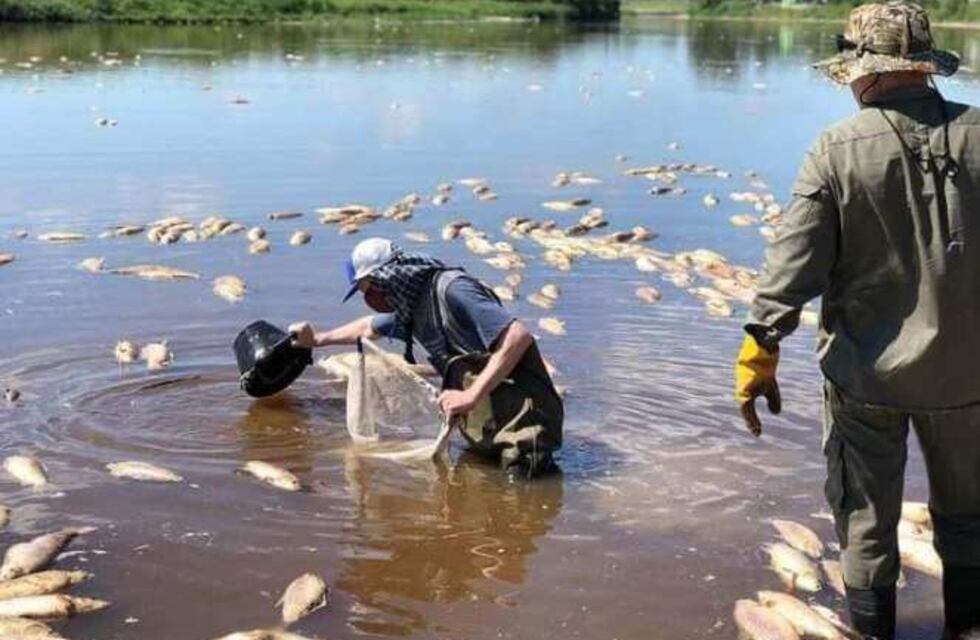 Gobierno de Santa Fe contradice informe sobre muerte de peces en el río Salado