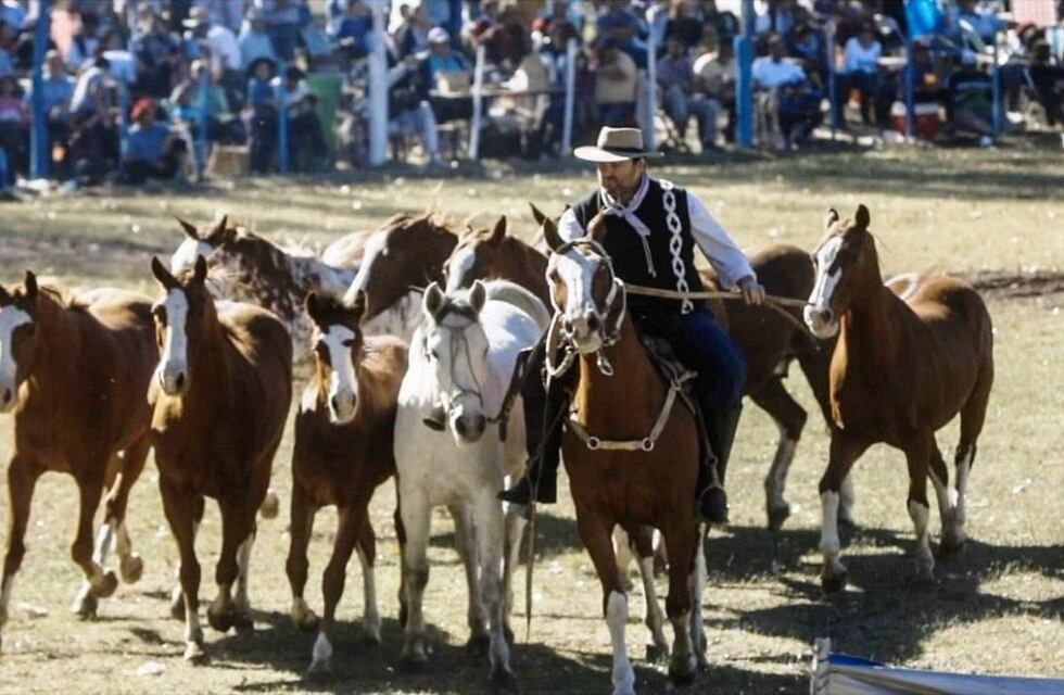 Un festival ecuestre, el gran broche de oro de la Fiesta de la Ganadería en Alvear