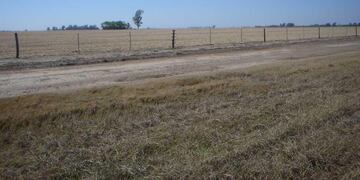 El siniestro se produjo en la banquina de una zona rural.