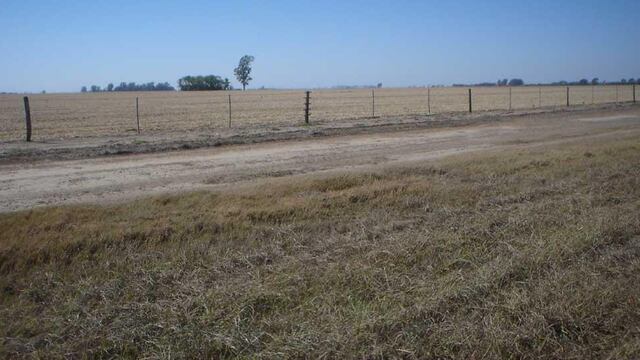 El siniestro se produjo en la banquina de una zona rural.