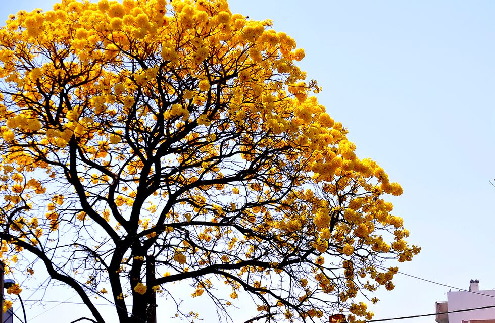 Clima en Córdoba: fresco y despejado para este jueves 22 de septiembre