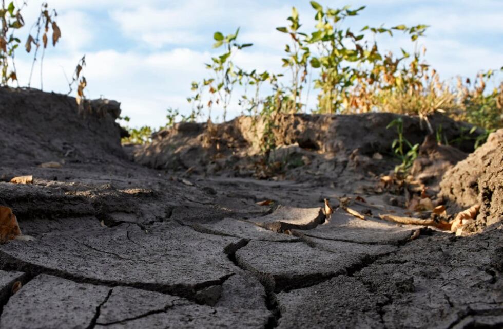 Preocupación en Tandil por la falta de lluvias: cuál es la situación del campo