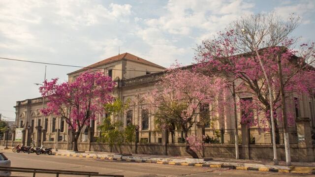 Las autoridades de la Escuela Normal de Esquina, Corrientes denunciaron el hecho.