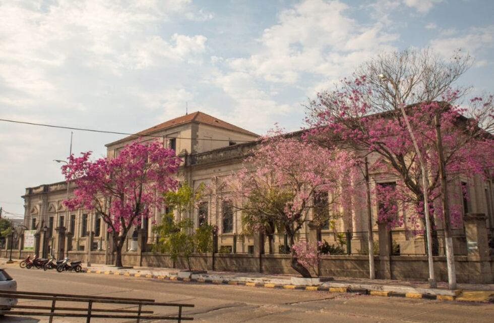 Violencia en una escuela de Corrientes: era su cumpleaños y sus compañeros lo dejaron con traumatismo de tórax
