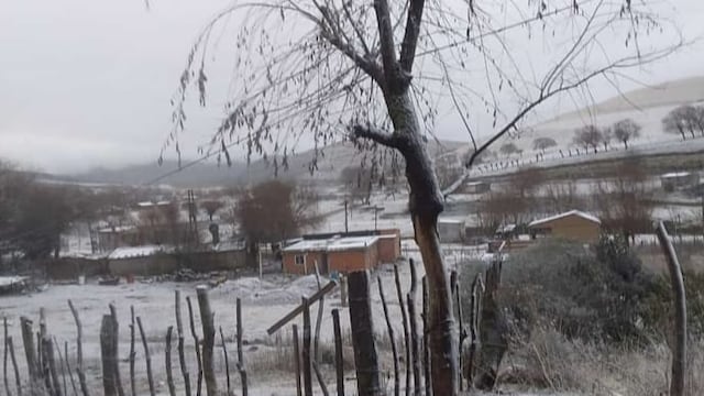 Tafí del Valle Tuvo la primera nevada del año.