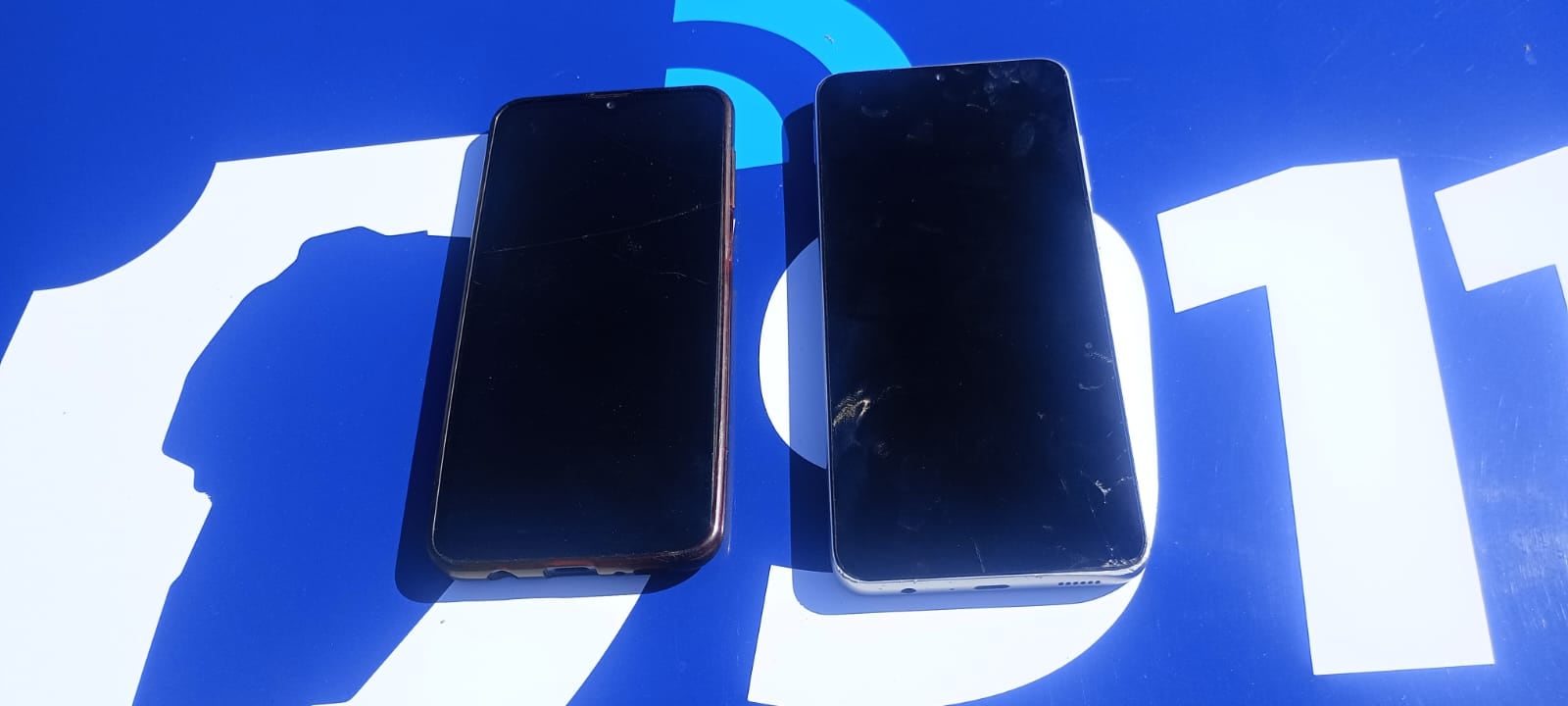 La Policía dio con uno de los ladrones.