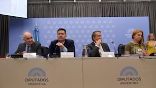 Se llevó a cabo un nuevo plenario de comisiones por la "ley ómnibus" (Foto: HCDN)