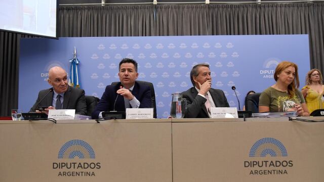 Se llevó a cabo un nuevo plenario de comisiones por la "ley ómnibus" (Foto: HCDN)