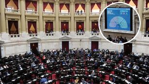 Luego de siete horas de debate, Diputados dio media sanción al proyecto.