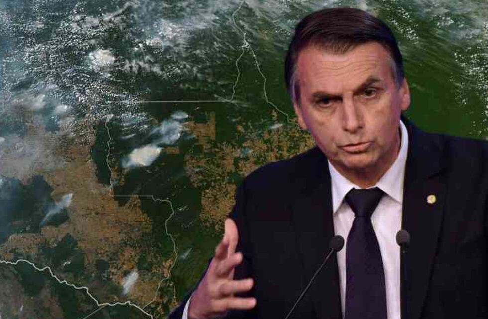 ¿Internet en el Amazonas? El plan en el que trabajan Jair Bolsonaro y el multimillonario Elon Musk