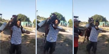 Indignante: chaqueños le dan cerveza a un caballo y lo suben a Tik Tok.