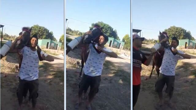 Indignante: chaqueños le dan cerveza a un caballo y lo suben a Tik Tok.