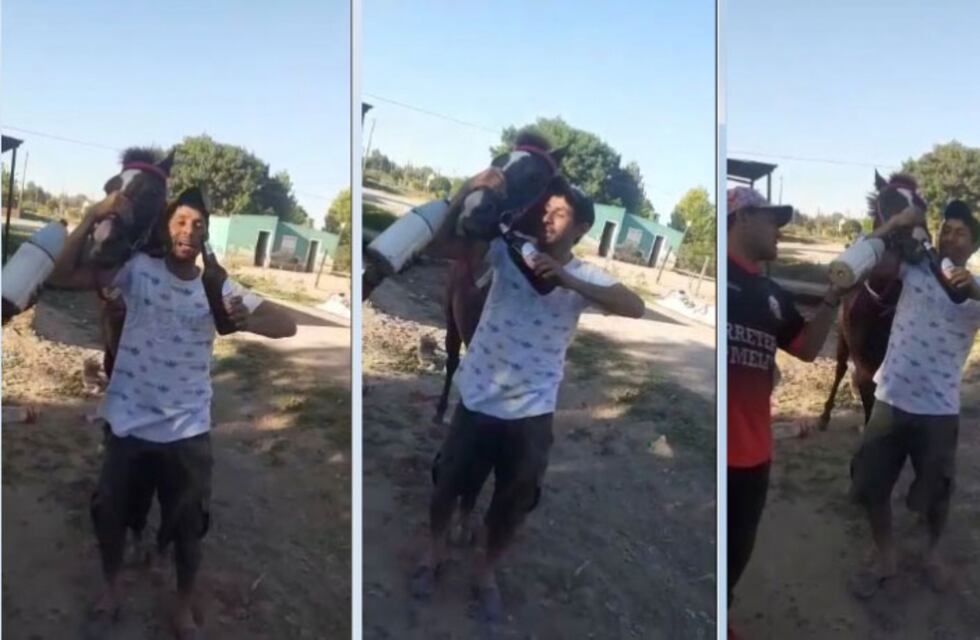 Se grabaron mientras intentaban darle cerveza a un caballo antes de una carrera ilegal