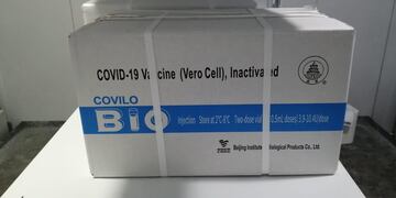 Llegaron 12 mil dosis de Sinopharm a San Luis.