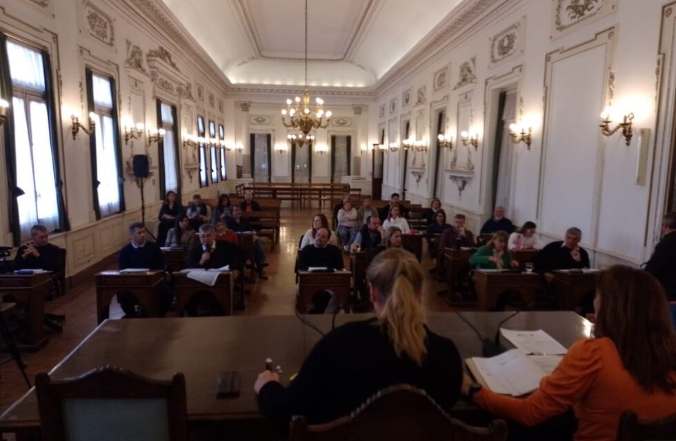 Concejo Deliberante de Tres Arroyos: Licitación del Servicio de Monitoreo y hectáreas productivas del Aeródromo, aprobadas