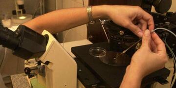 Inédito: una pareja tuvo un hijo de un embrión equivocado. Foto: Ramiro Pereyra / Archivo.