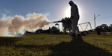 Apelan a la responsabilidad de los vecinos para frenar la propagación del mosquito.