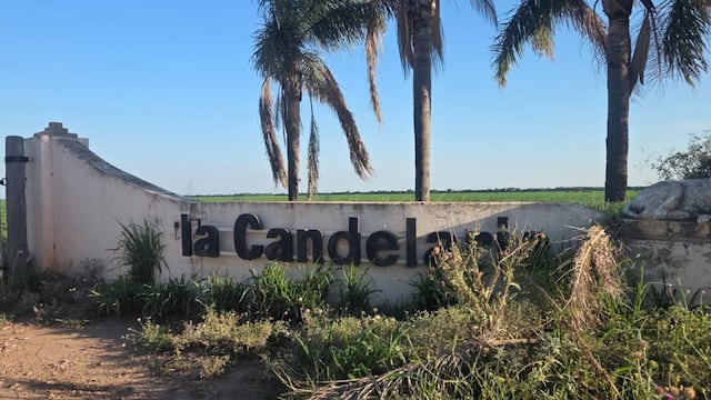 El suceso ocurrió en una estancia al norte de la provincia de Córdoba.