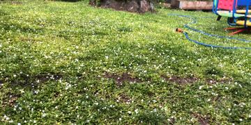 Granizo en Villa Warcalde, en Córdoba capital. (Francisco Centeno en Twitter)