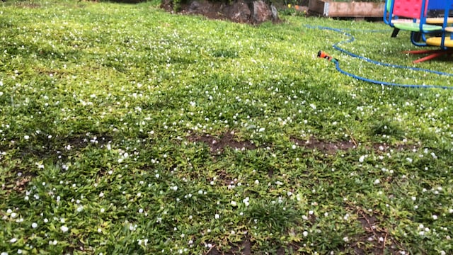 Granizo en Villa Warcalde, en Córdoba capital. (Francisco Centeno en Twitter)
