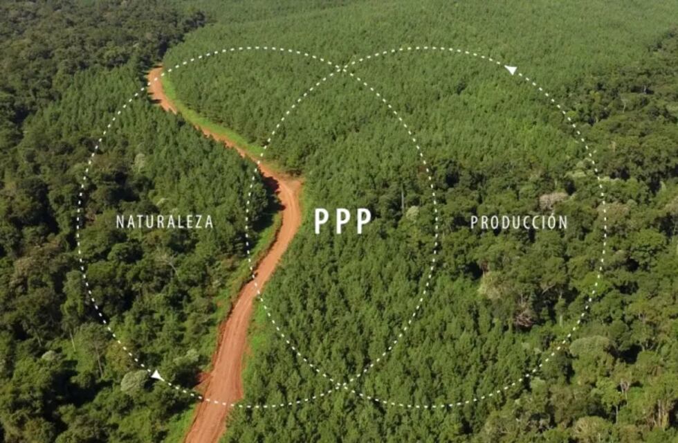 Puerto Iguazú | Se realizará el Encuentro Anual de Paisaje Productivo Protegido