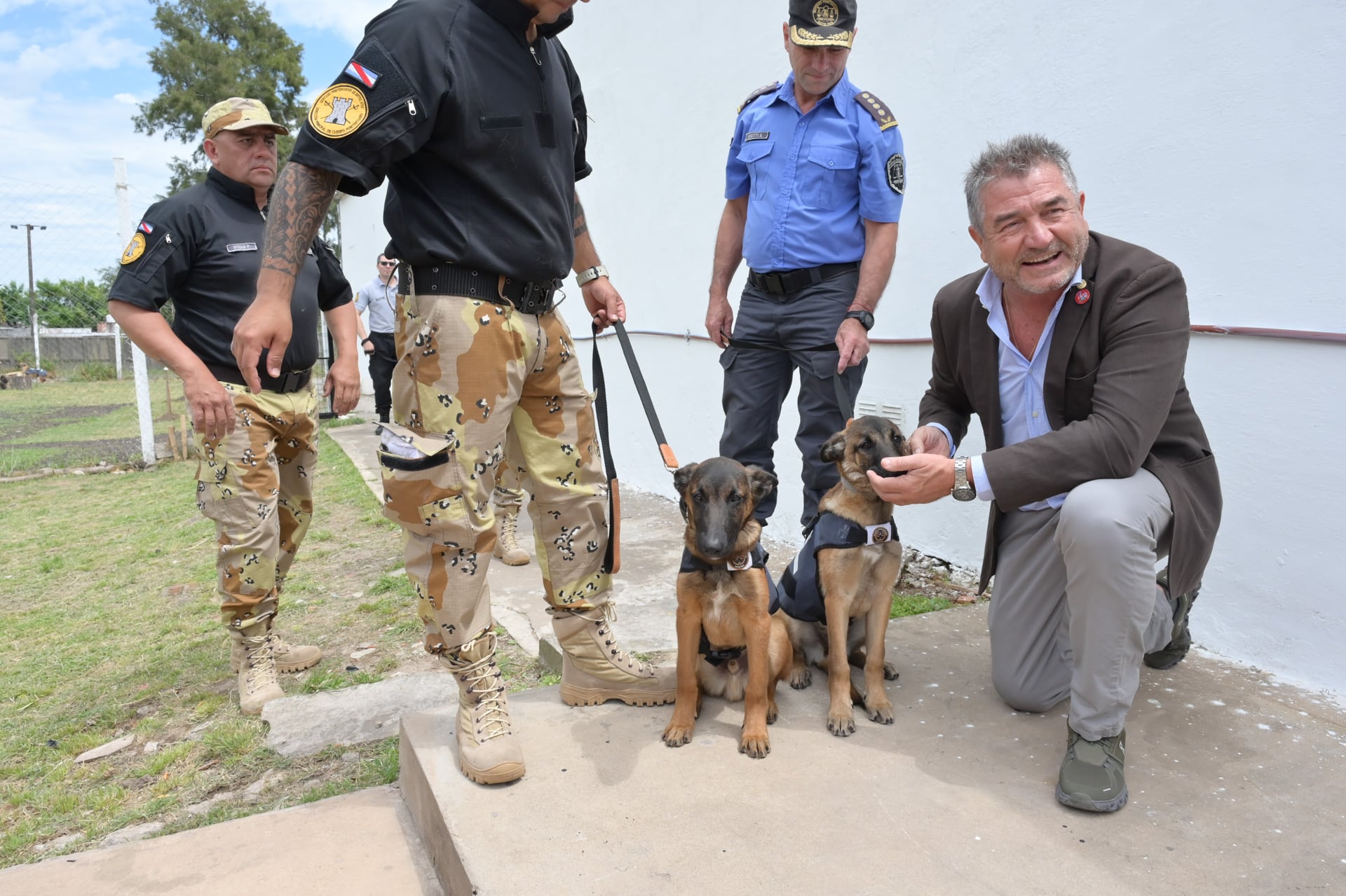 Entrenamiento para perros policías