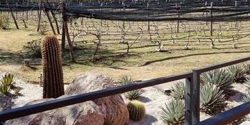 Valle de Traslasierra