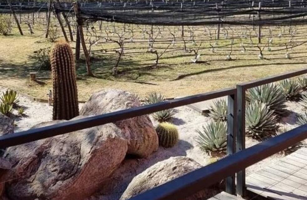 Ambiente agradable para la mitad de la semana