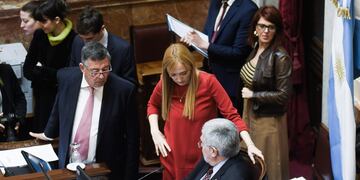 La senadora mendocina Anabel Fernández Sagasti, de La Cámpora, empuja la "Ley de alcohol cero" (Foto: Federico López Claro)