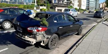 Tendrá que hacerse cargo de los costos por los destrozos y se emitirá un alerta para impedir la obtención de licencia de conducir