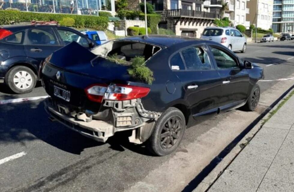 El conductor que provocó daños deberá pagar una multa, los costos por los destrozos y se emitirá un alerta para impedir la obtención de licencia de conducir