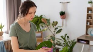 Tips para tener en cuenta en el hogar.