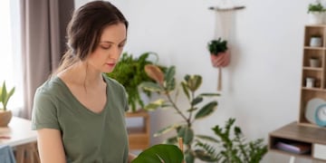 Tips para tener en cuenta en el hogar.