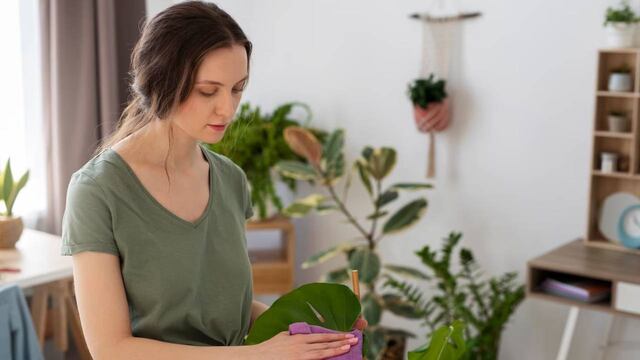 Tips para tener en cuenta en el hogar.