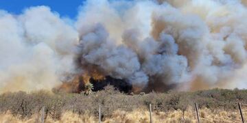 Una vez más, las altas temperaturas, el viento y la falta de humedad complican el panorama para los bomberos. (Cadena 3)