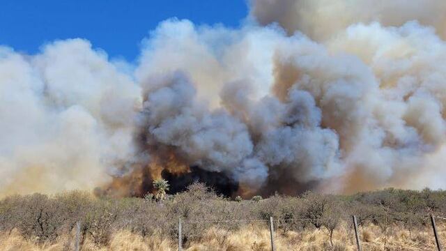 Una vez más, las altas temperaturas, el viento y la falta de humedad complican el panorama para los bomberos. (Cadena 3)
