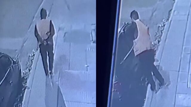 El naranjita rompió el vidrio para intentar robar el vehículo. (Captura)