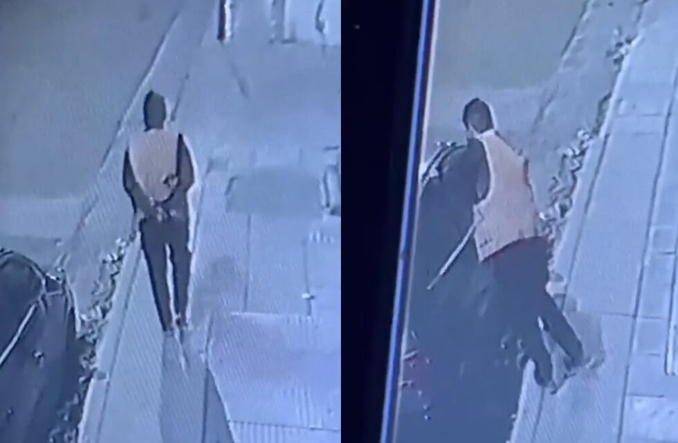 Córdoba: un naranjita intentó robar un auto, sonó la alarma y huyó pero fue captado por las cámaras